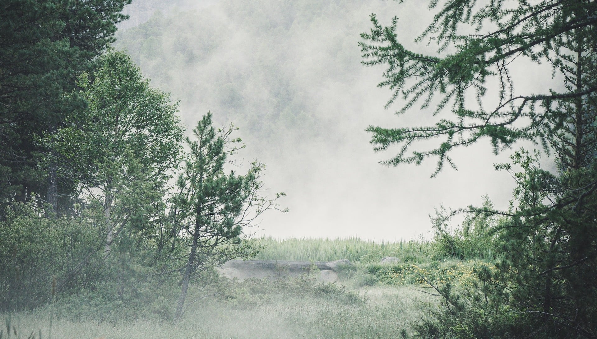 Group cover image
